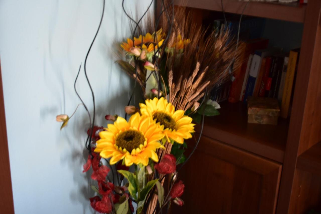 B&B Il Girasole Assemini Eksteriør bilde