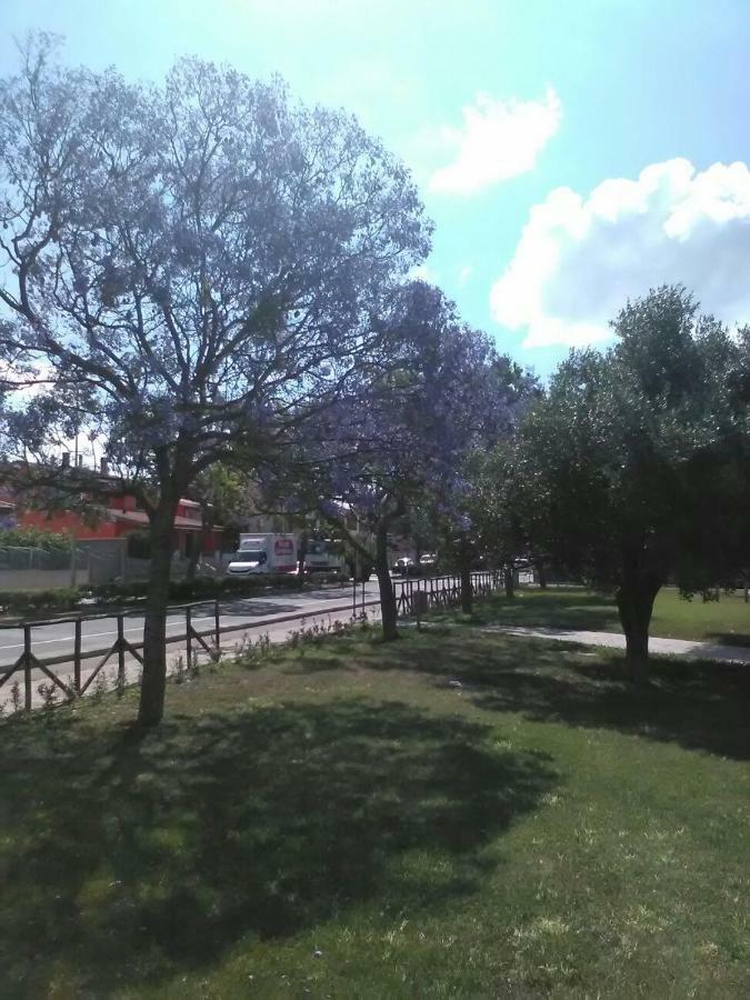 B&B Il Girasole Assemini Eksteriør bilde